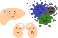 栄養状態を表すTP・Albイメージ