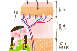 第13回　新陳代謝などどこ吹く風？　入れ墨が消えない理由