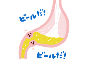 第20回　どうしてビールは大量に飲めるのか？