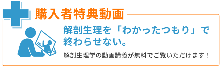 2026年度 科目別強化トレーニング（学校関係者・団体受験者さま